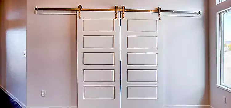 Glass Barn Door with Installation Hardware Kit Laredo